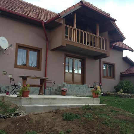Villa Casa Darius à Novaci-Străini Extérieur photo