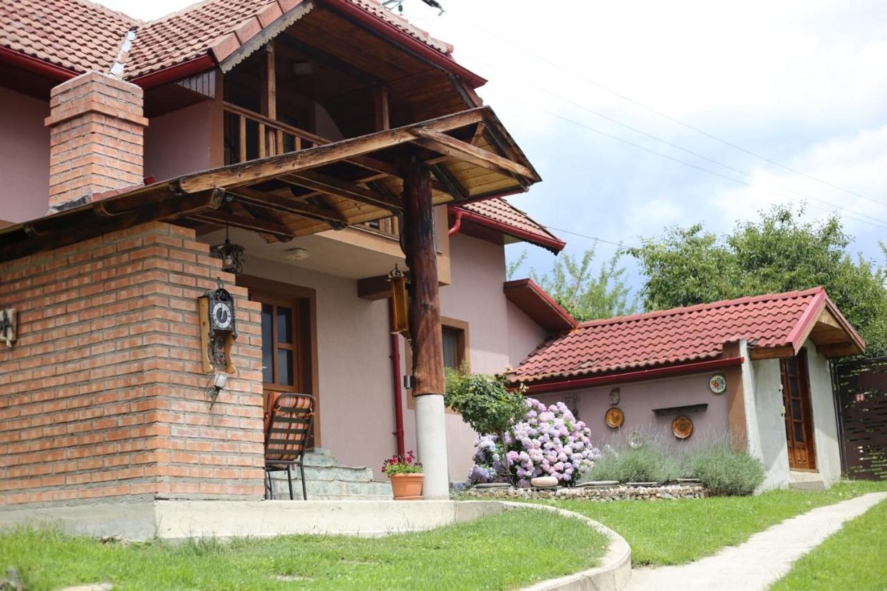 Villa Casa Darius à Novaci-Străini Extérieur photo
