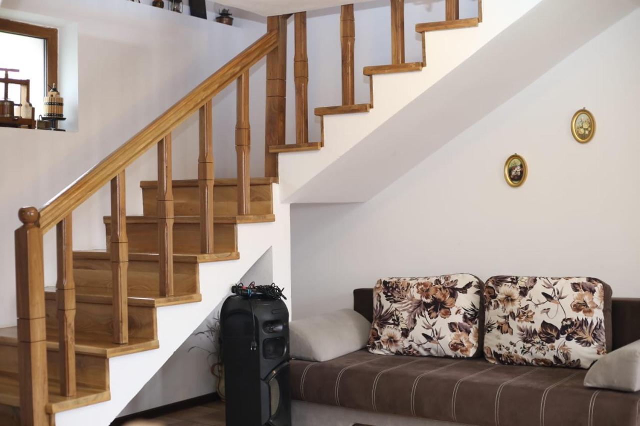 Villa Casa Darius à Novaci-Străini Extérieur photo