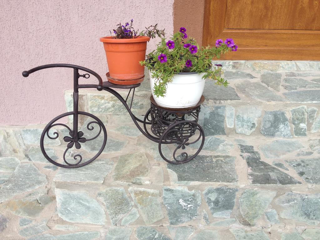 Villa Casa Darius à Novaci-Străini Extérieur photo